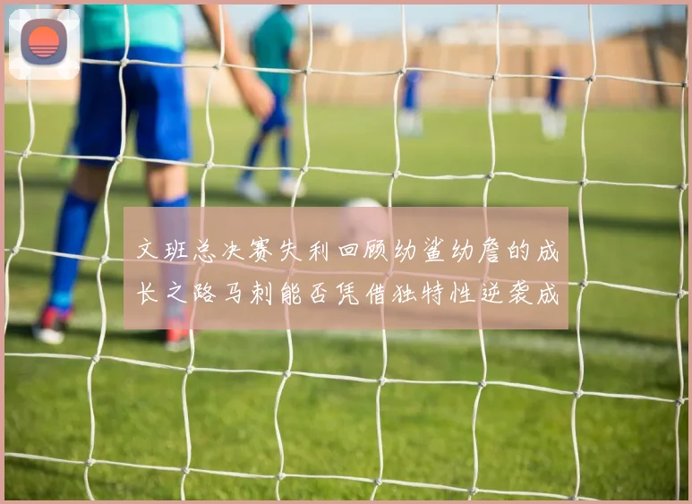 文班总决赛失利回顾幼鲨幼詹的成长之路马刺能否凭借独特性逆袭成功